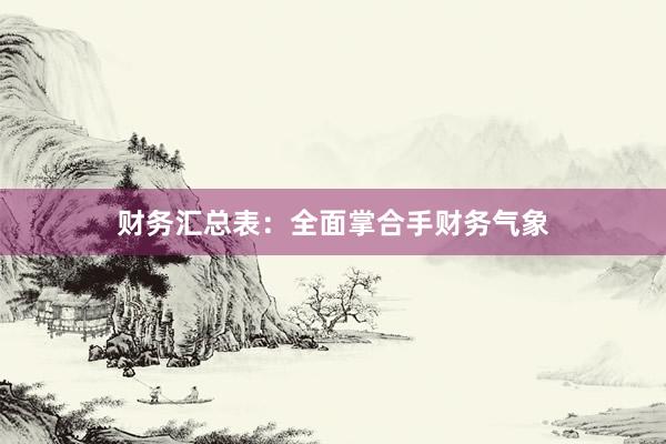 财务汇总表：全面掌合手财务气象